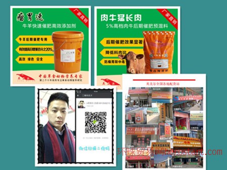 4、 Anglo-Meier 肉牛專用預(yù)混料：什么飼料對牛有益