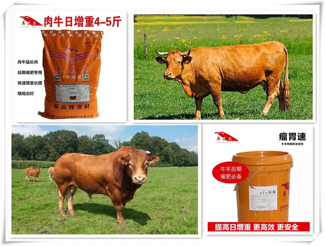 4、中國最好的牛羊飼料是哪家