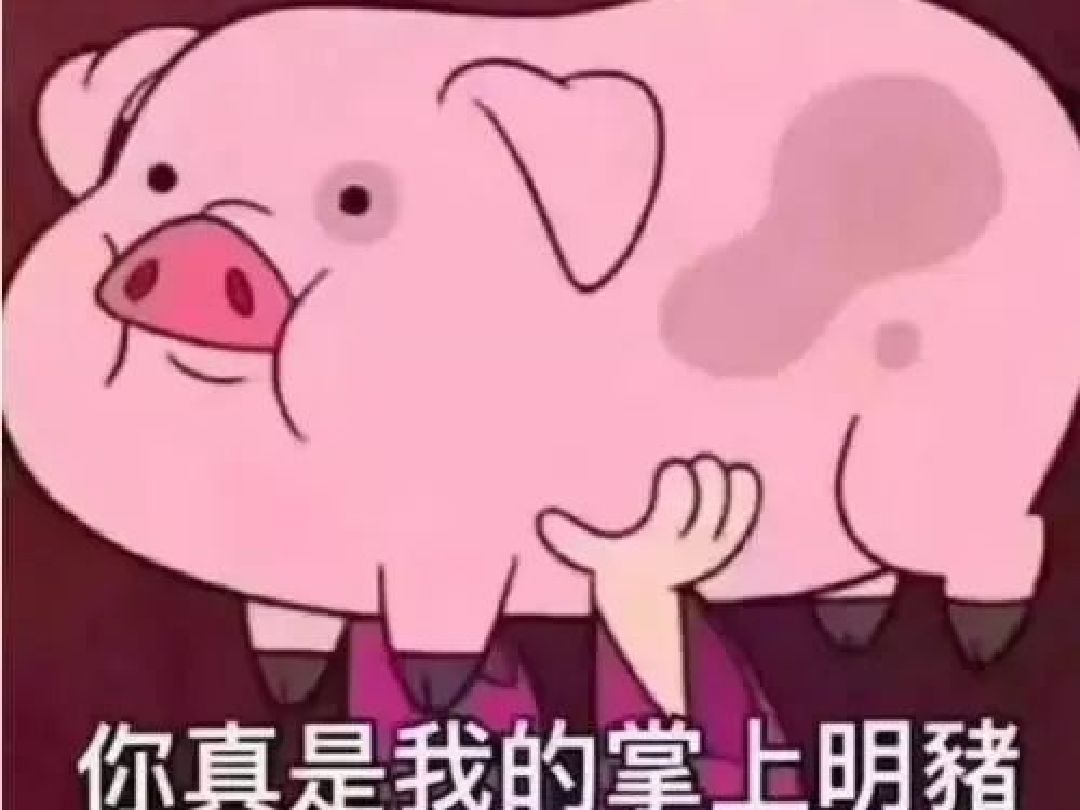 3、歲月是豬的飼料，我已經(jīng)吃夠了。下一句該說什么