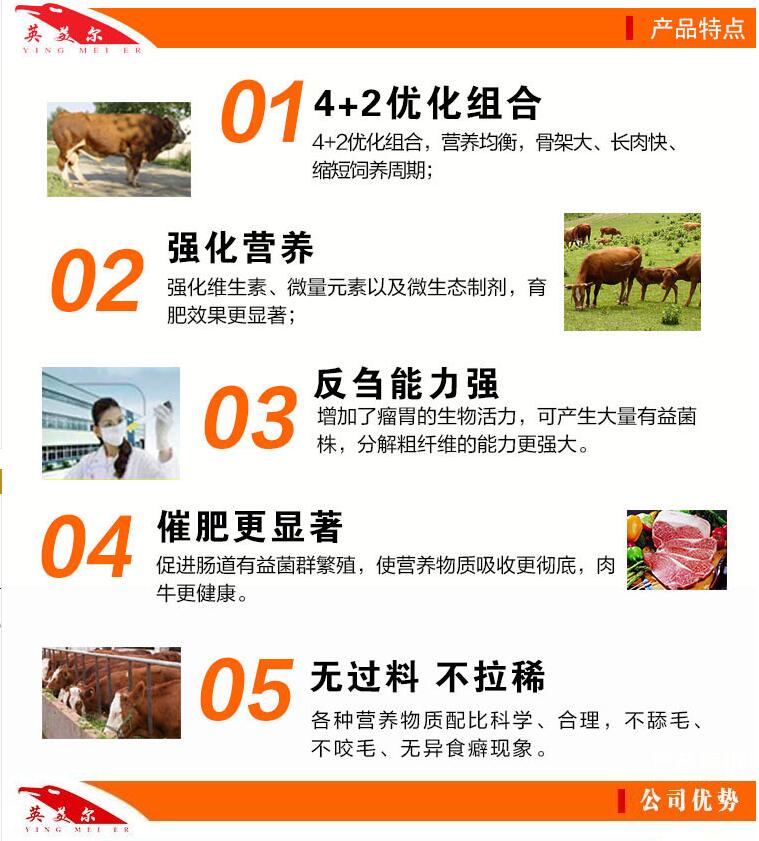 2、一頭奶牛一年應(yīng)該準(zhǔn)備多少飼料？喂食時(shí)如何混合飼料？ 