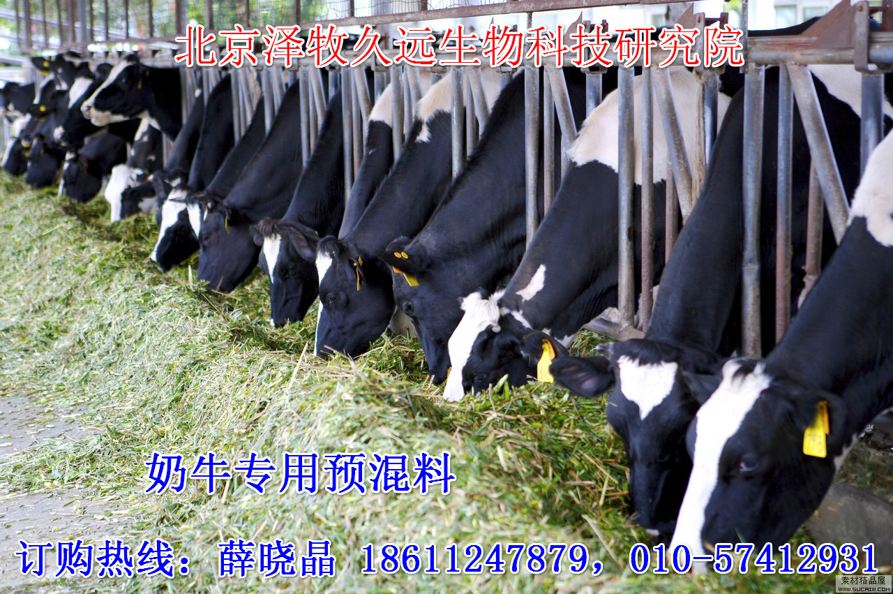 2、奶牛飼料廠有哪些？